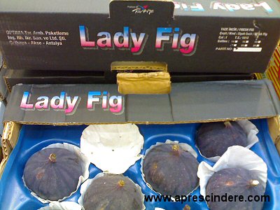 Lady Fig
