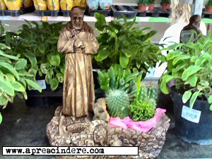 Padre Pio Santo porta cactus