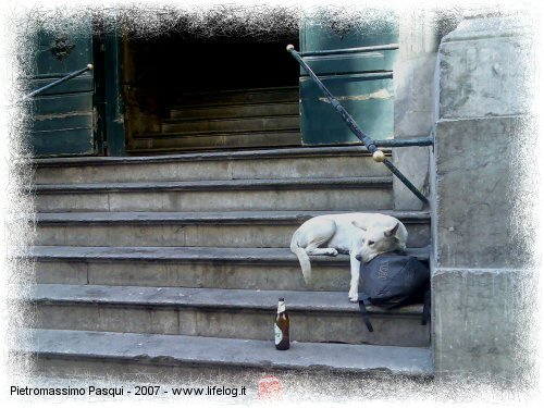 In attesa